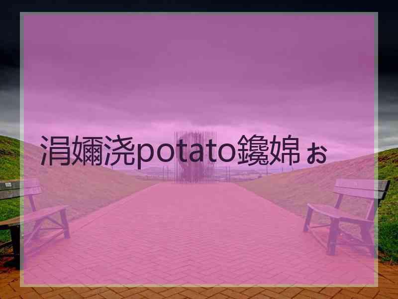 涓嬭浇potato鑱婂ぉ