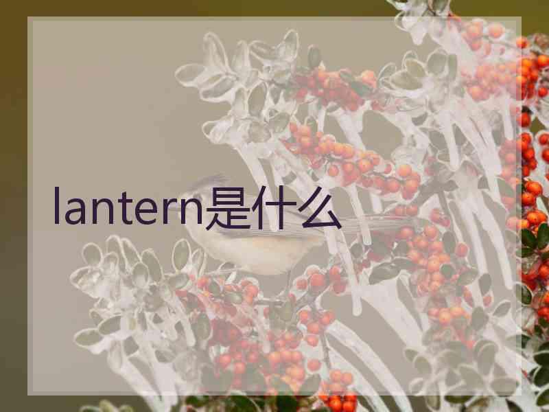 lantern是什么