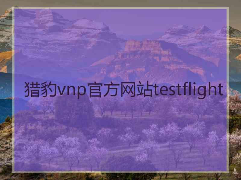 猎豹vnp官方网站testflight