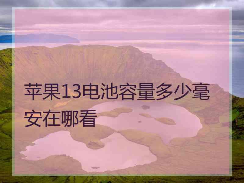 苹果13电池容量多少毫安在哪看