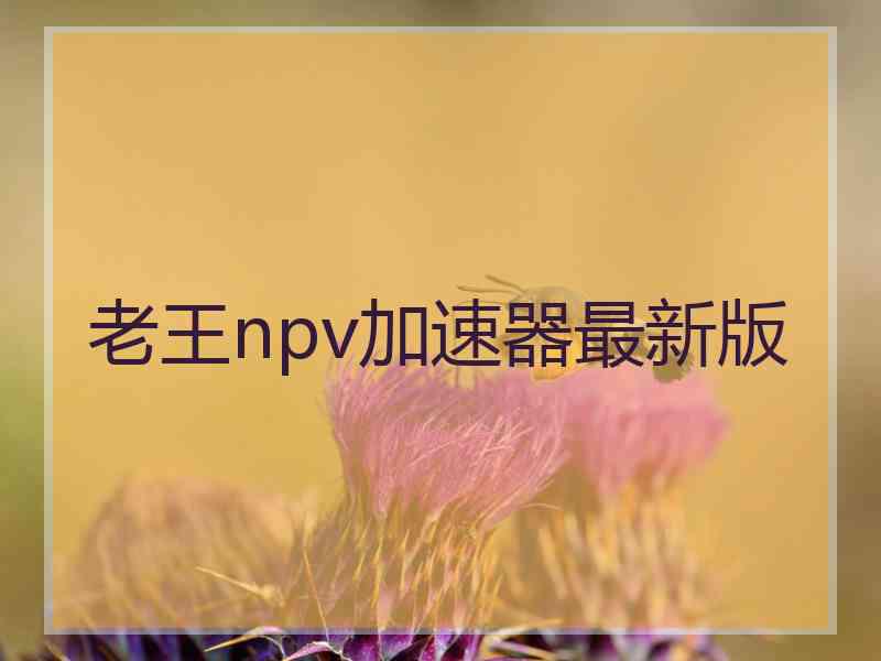 老王npv加速器最新版