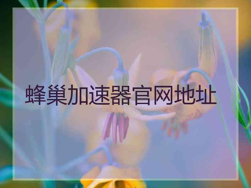 蜂巢加速器官网地址