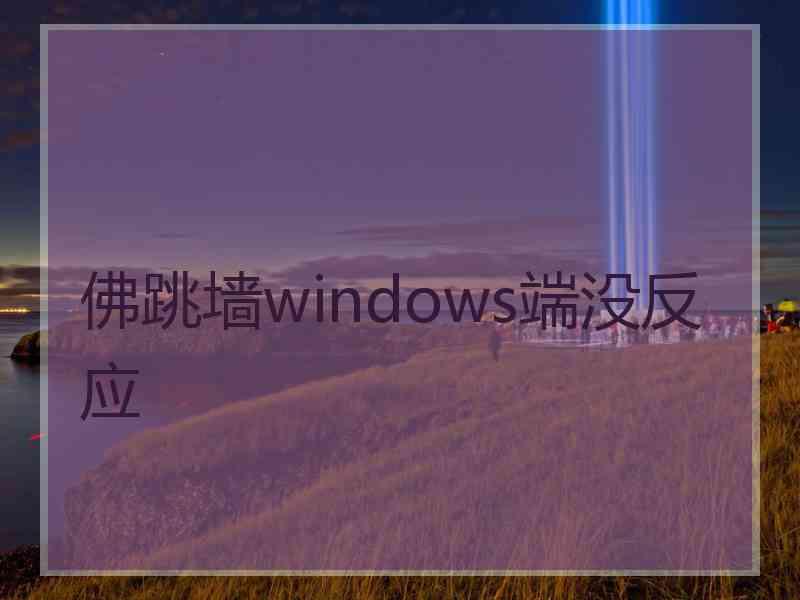 佛跳墙windows端没反应