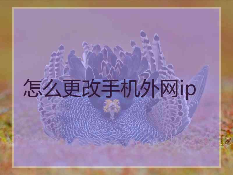 怎么更改手机外网ip