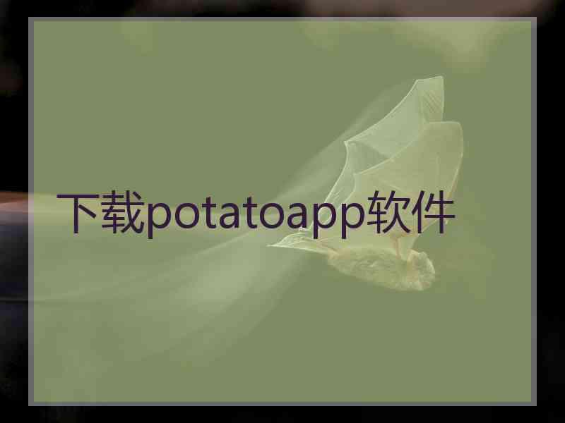 下载potatoapp软件