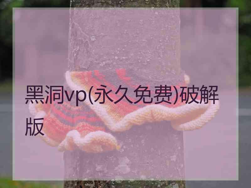 黑洞vp(永久免费)破解版