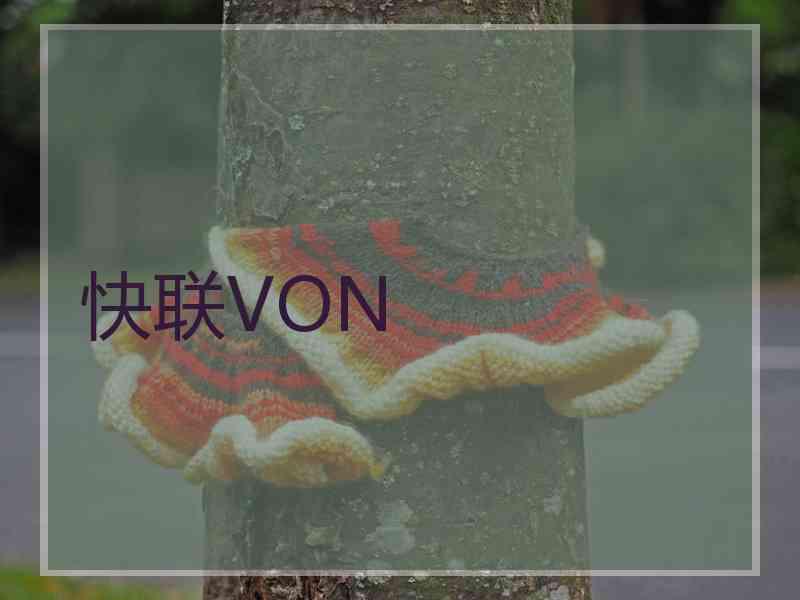 快联VON