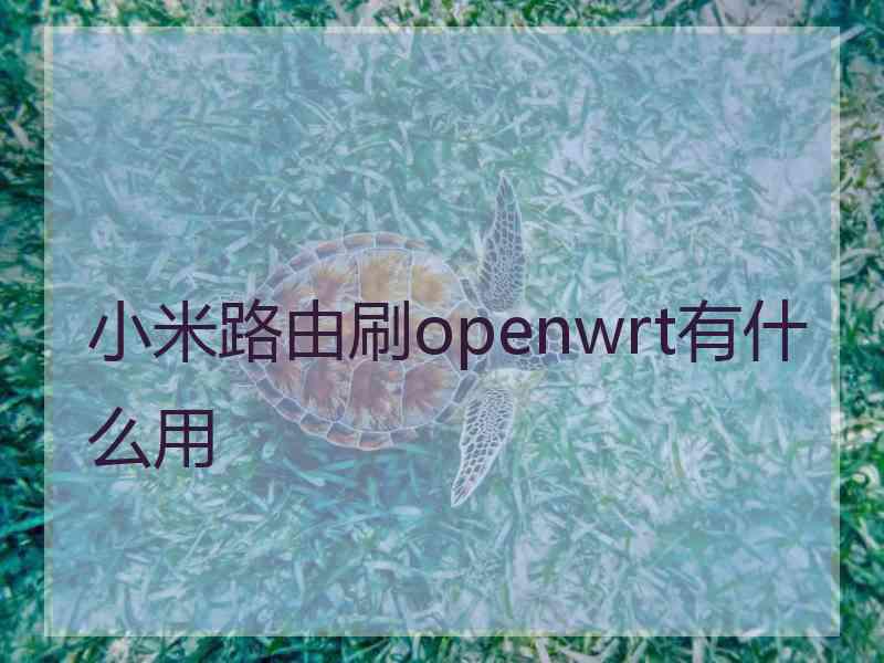 小米路由刷openwrt有什么用