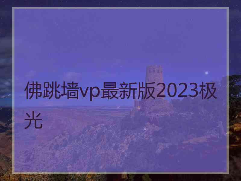 佛跳墙vp最新版2023极光