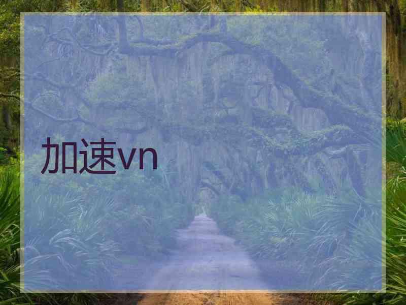 加速vn