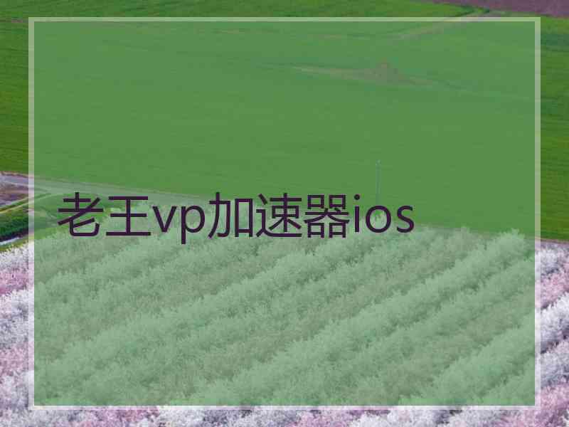 老王vp加速器ios