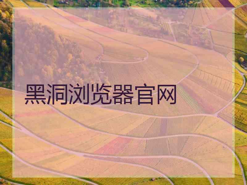 黑洞浏览器官网