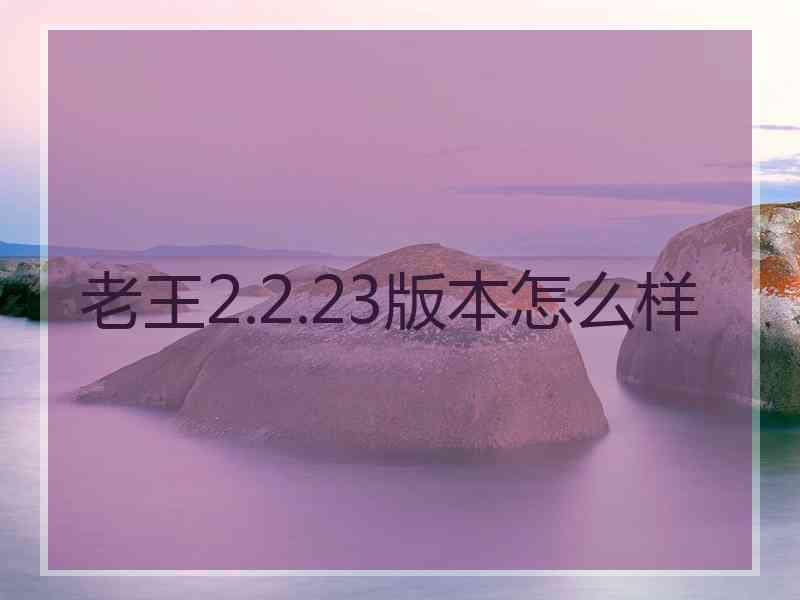 老王2.2.23版本怎么样