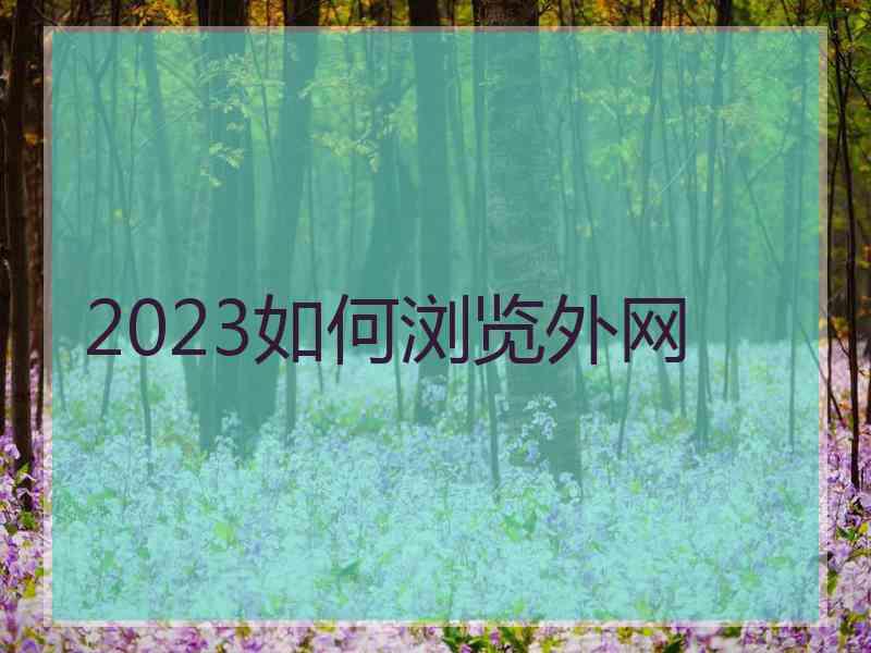 2023如何浏览外网