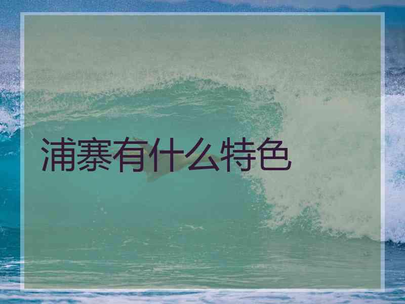 浦寨有什么特色