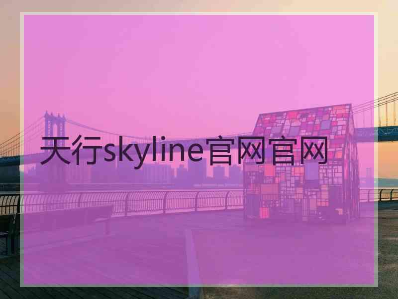 天行skyline官网官网