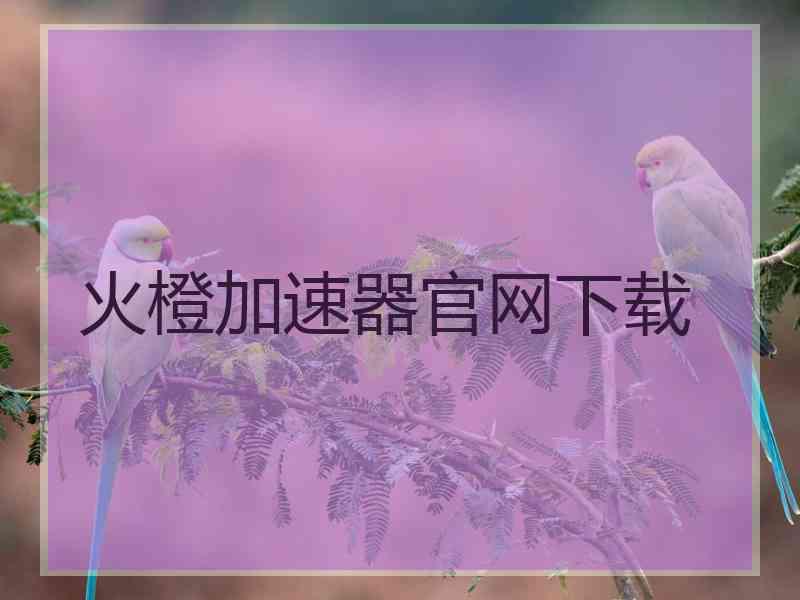 火橙加速器官网下载