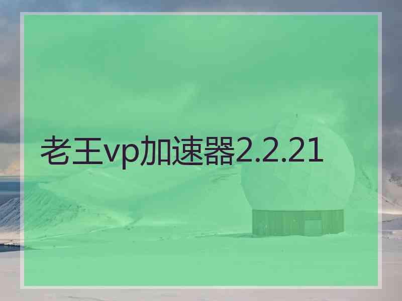 老王vp加速器2.2.21