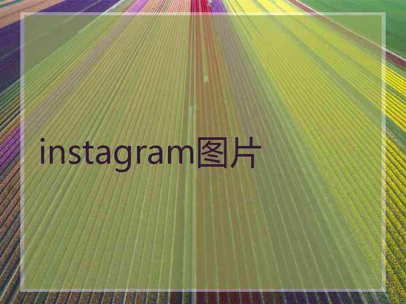 instagram图片