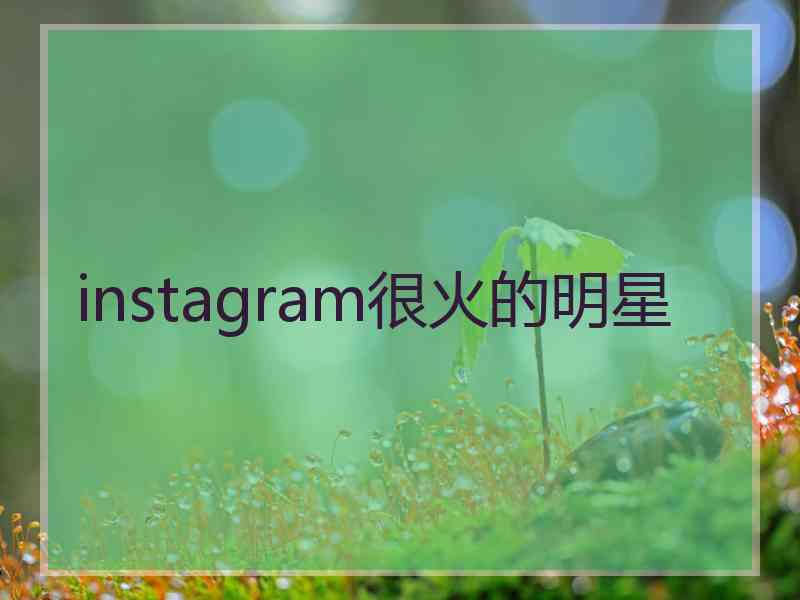 instagram很火的明星