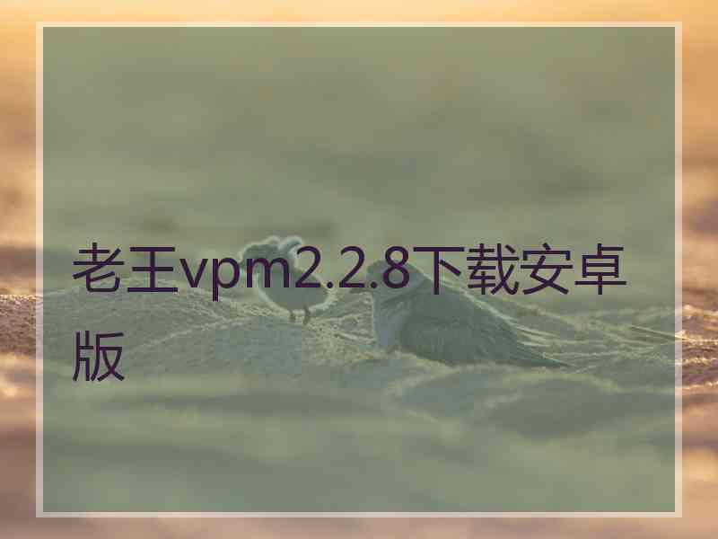 老王vpm2.2.8下载安卓版