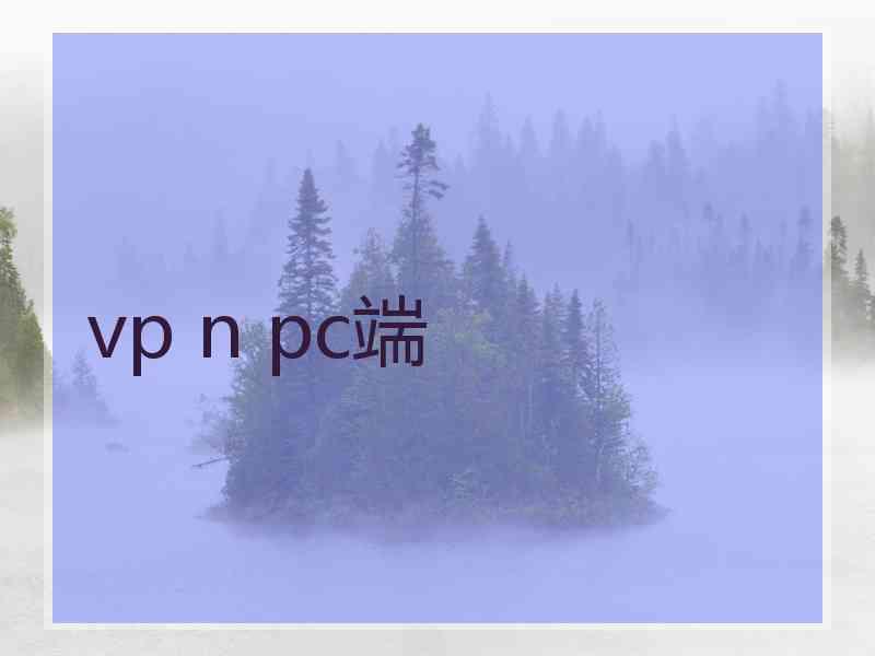 vp n pc端