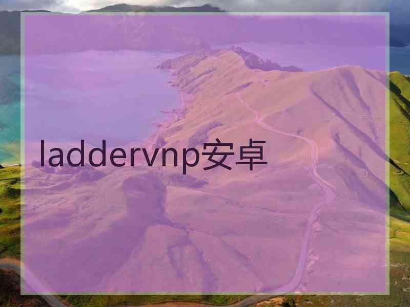 laddervnp安卓