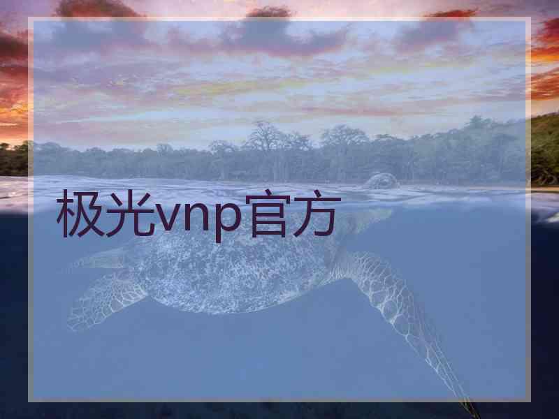 极光vnp官方