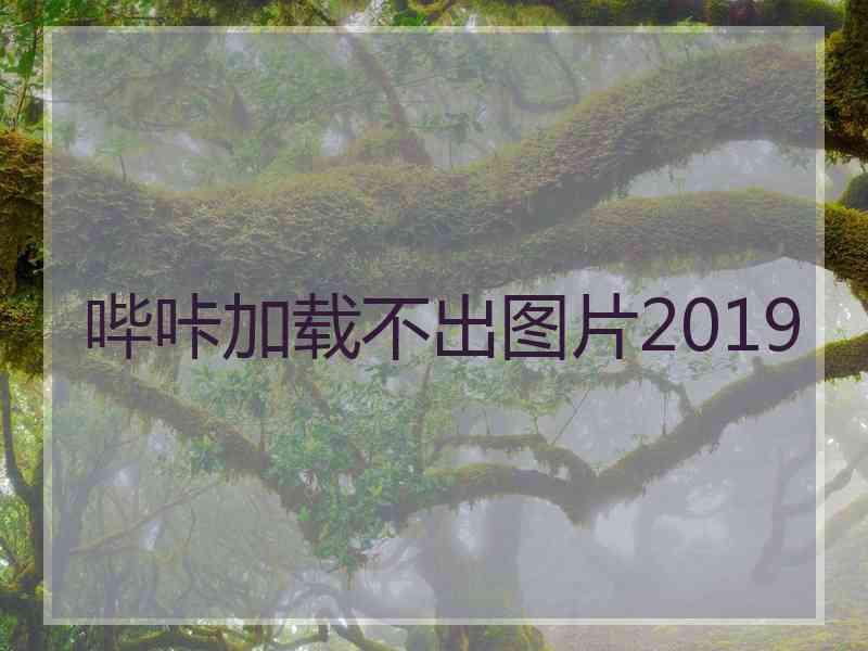 哔咔加载不出图片2019