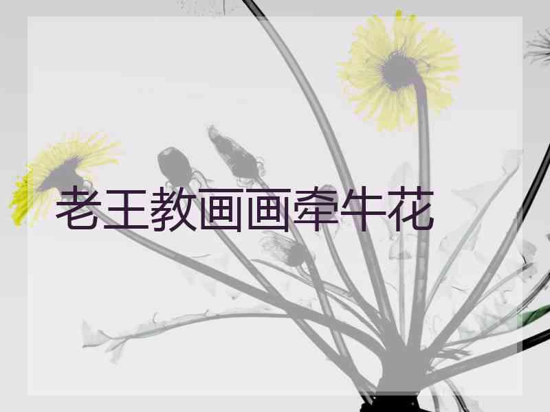 老王教画画牵牛花