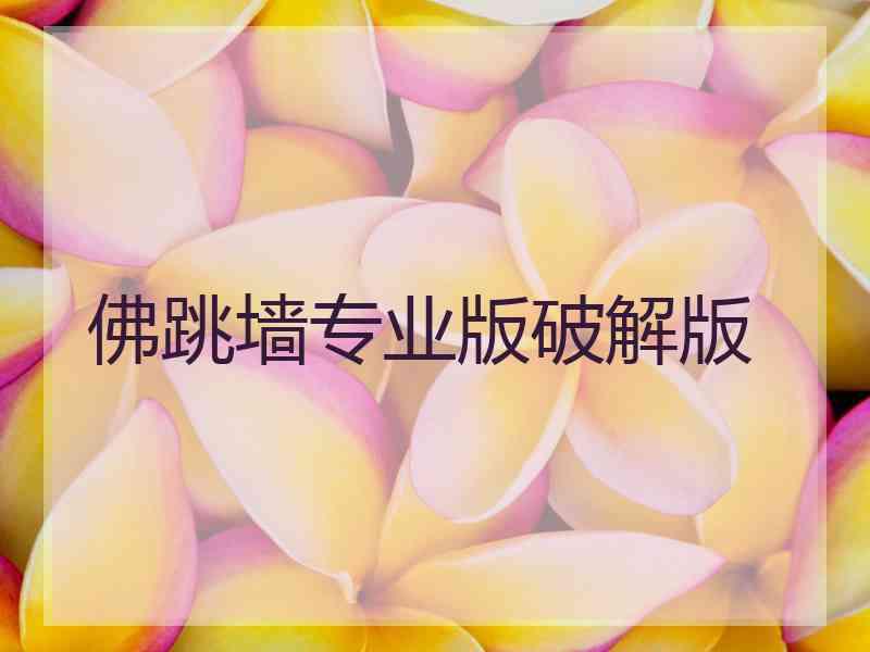 佛跳墙专业版破解版