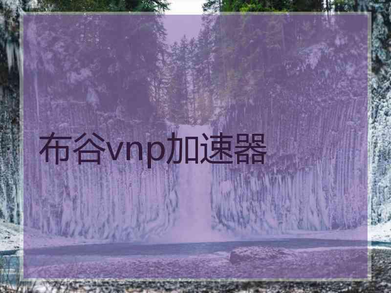 布谷vnp加速器