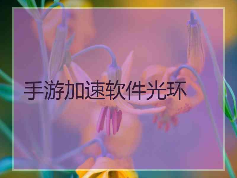 手游加速软件光环