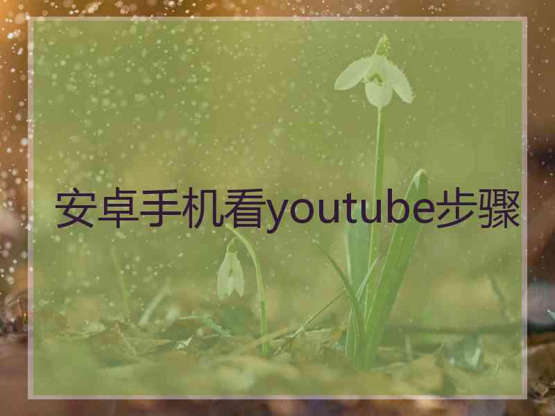 安卓手机看youtube步骤