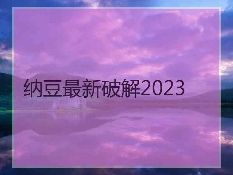 纳豆最新破解2023