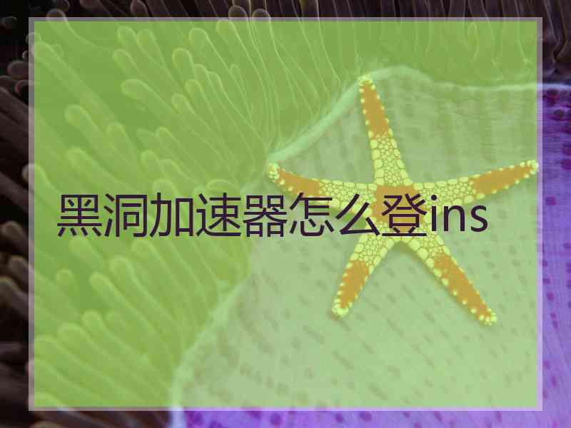 黑洞加速器怎么登ins