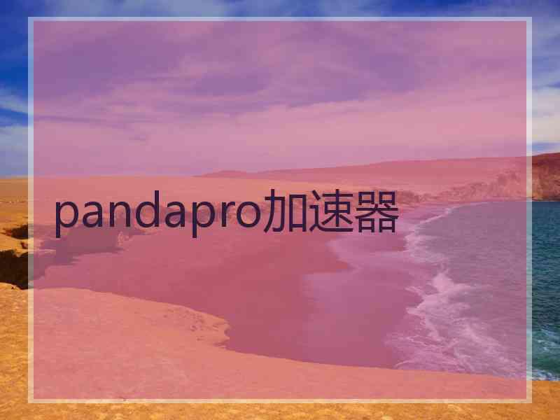 pandapro加速器