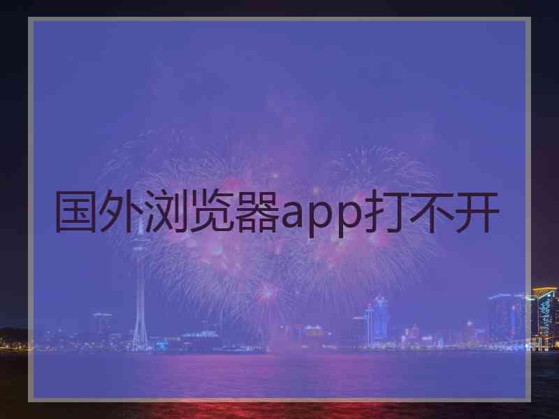 国外浏览器app打不开