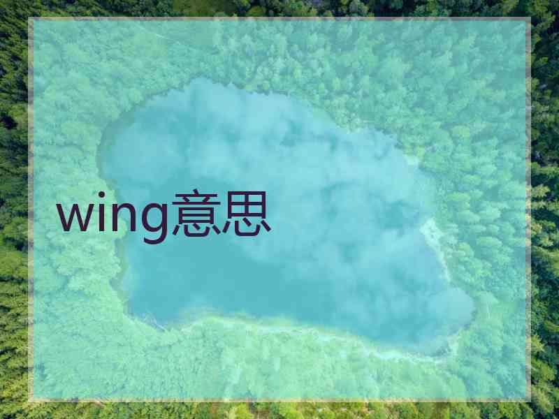 wing意思