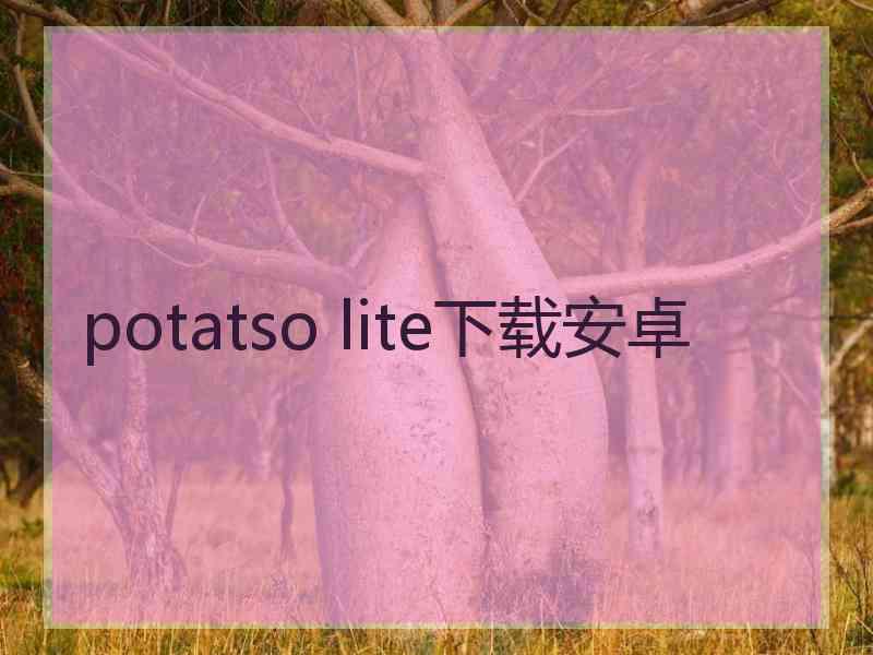 potatso lite下载安卓