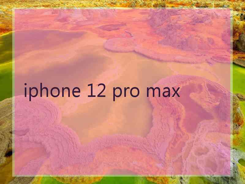 iphone 12 pro max