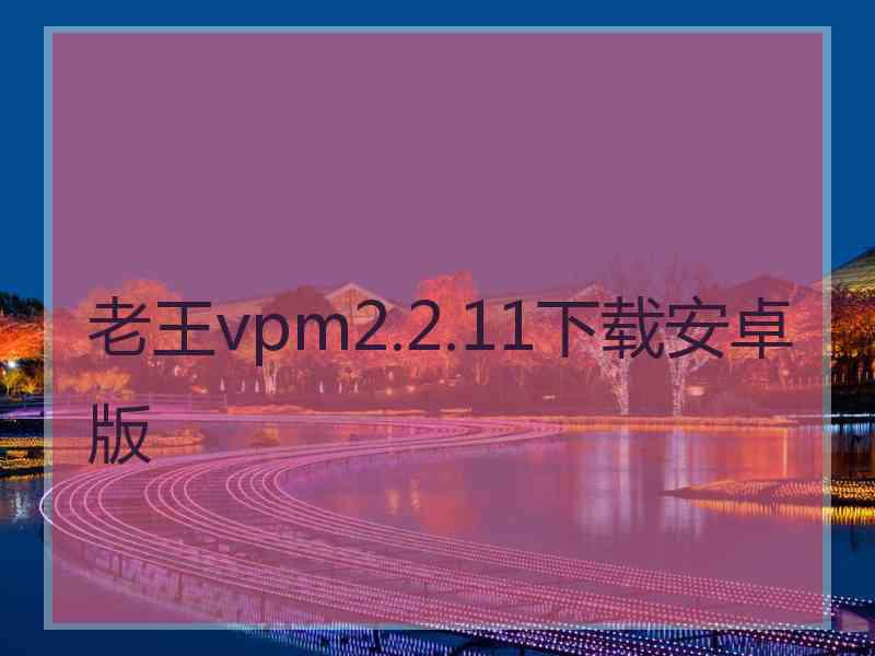 老王vpm2.2.11下载安卓版