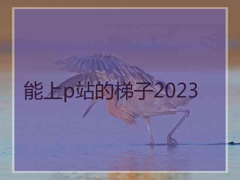 能上p站的梯子2023