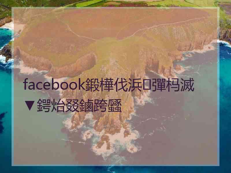 facebook鍛樺伐浜彈杩滅▼鍔炲叕鏀跨瓥