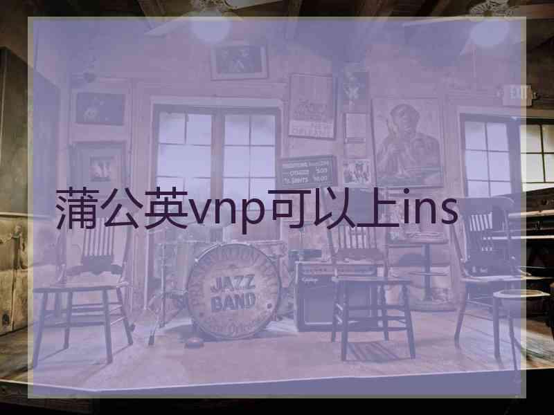 蒲公英vnp可以上ins