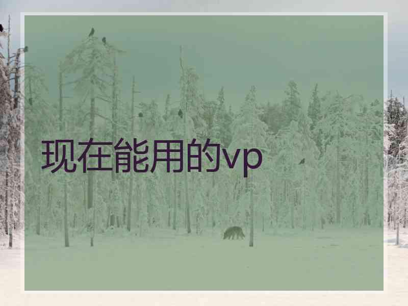 现在能用的vp