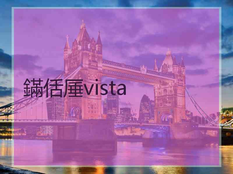 鏋佸厜vista