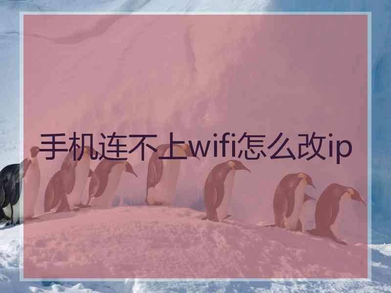 手机连不上wifi怎么改ip