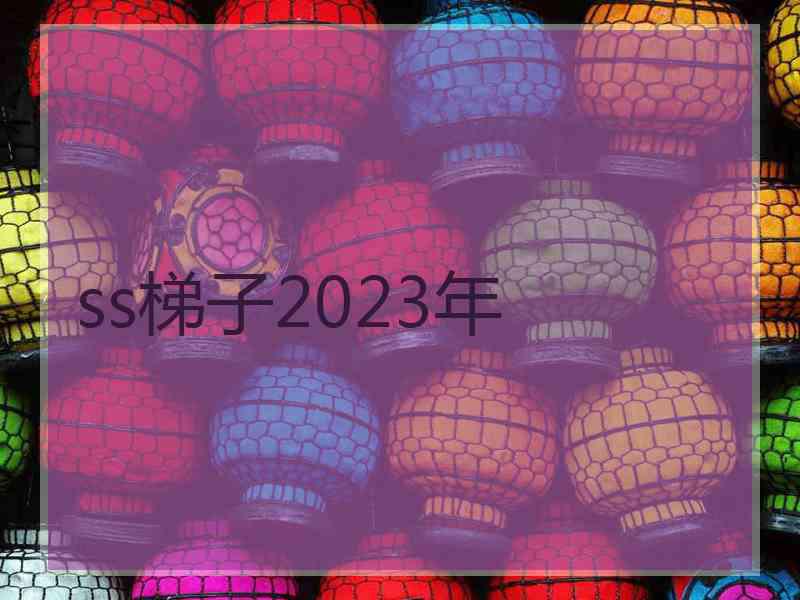 ss梯子2023年