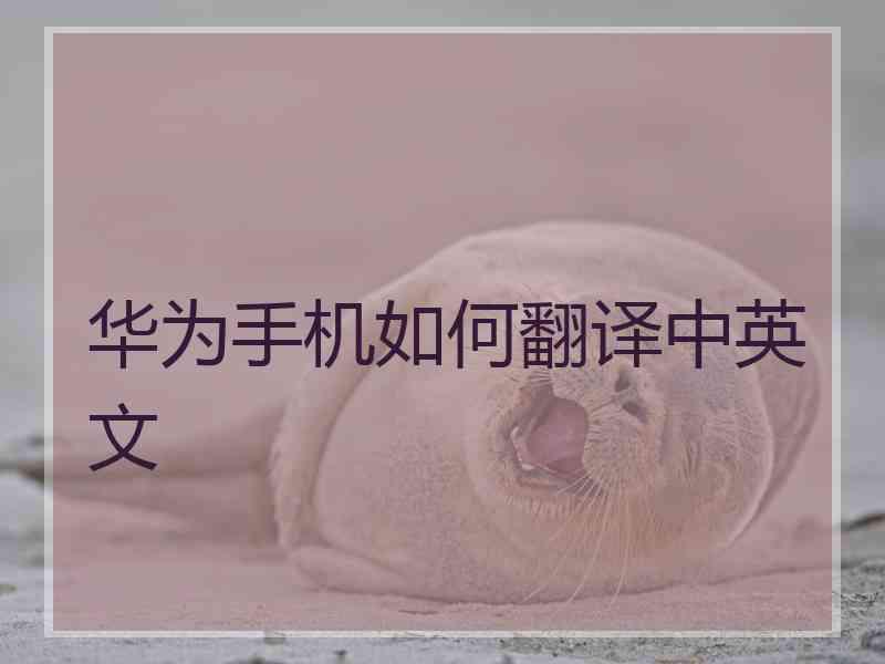 华为手机如何翻译中英文